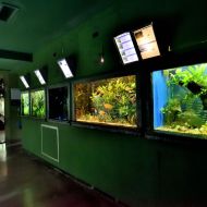 budapest-tropicarium_27