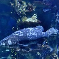 budapest-tropicarium_29