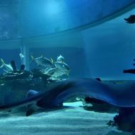 budapest-tropicarium_35