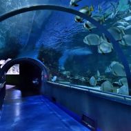 budapest-tropicarium_36