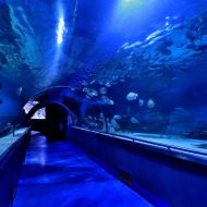 budapest-tropicarium_39