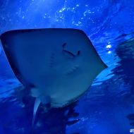 budapest-tropicarium_42