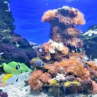 budapest-tropicarium_45