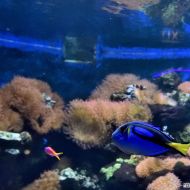budapest-tropicarium_47