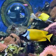 budapest-tropicarium_48