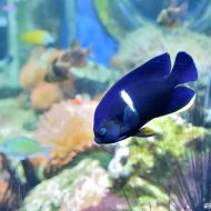 budapest-tropicarium_49