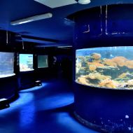 budapest-tropicarium_50