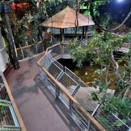 budapest-tropicarium_53
