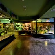budapest-tropicarium_58