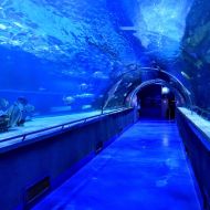 budapest-tropicarium_59
