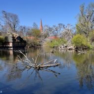 budapest-varosliget-zoo_01