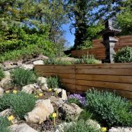 budapest-varosliget-zoo_04