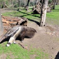 budapest-varosliget-zoo_07