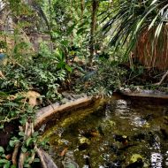 budapest-varosliget-zoo_09