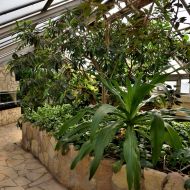 budapest-varosliget-zoo_13