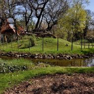 budapest-varosliget-zoo_21