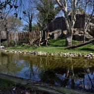 budapest-varosliget-zoo_23