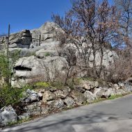 budapest-varosliget-zoo_24