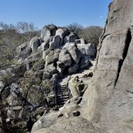 budapest-varosliget-zoo_26