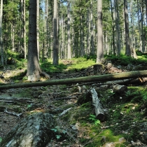 Cestou na Čertovo jezero