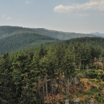 Šumava ze Špičáku