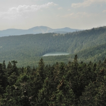 Šumava ze Špičáku