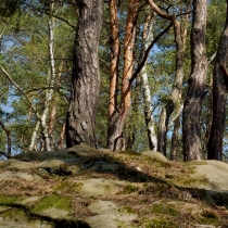 Čertovy hlavy