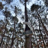 Rozcestník V lese (Červený vrch)