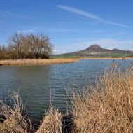 Dobroměřický rybník s výhledem na Oblík