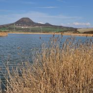 Dobroměřický rybník s výhledem na Oblík