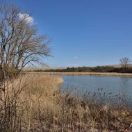 Dobroměřický rybník 