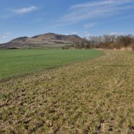 Cesta po zelené podél pole s výhledem na Ranou