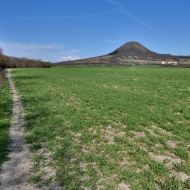 Cesta po zelené podél pole s výhledem na Oblík