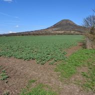 Cesta po zelené  s výhledem na Oblík, u zpevněné cesty se dá nechat auto