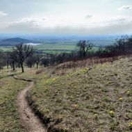 Stoupání na Oblík s rozkvetlým hlaváčkem jarním - pohled zpět