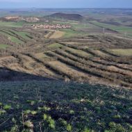 Výhled z vrcholu Oblíku 