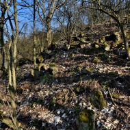 Cesta z Oblíku severním svahem 