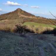 Výhled na Srdov pod Oblíkem