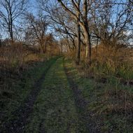 Cesta zpět k resortu pod Oblíkem