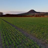 Oblík cestou zpět krátce před západem slunce