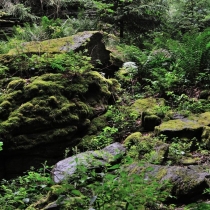 Zřícenina hradu Choustník - blízké skalní město
