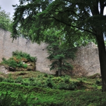 Zřícenina hradu Choustník