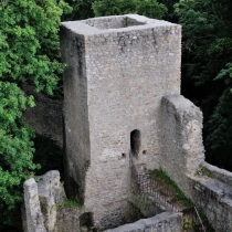 Zřícenina hradu Choustník