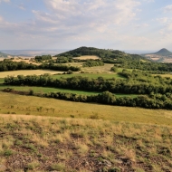 cicov_06