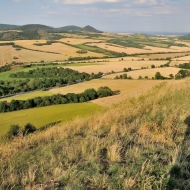 cicov_09