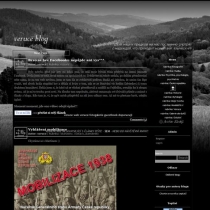 blog_2010