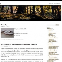 blog_2013