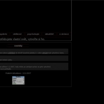 web_2007