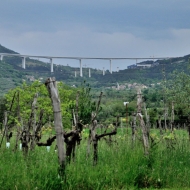 zricenina-crni-kal_01