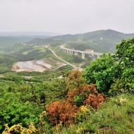 zricenina-crni-kal_02